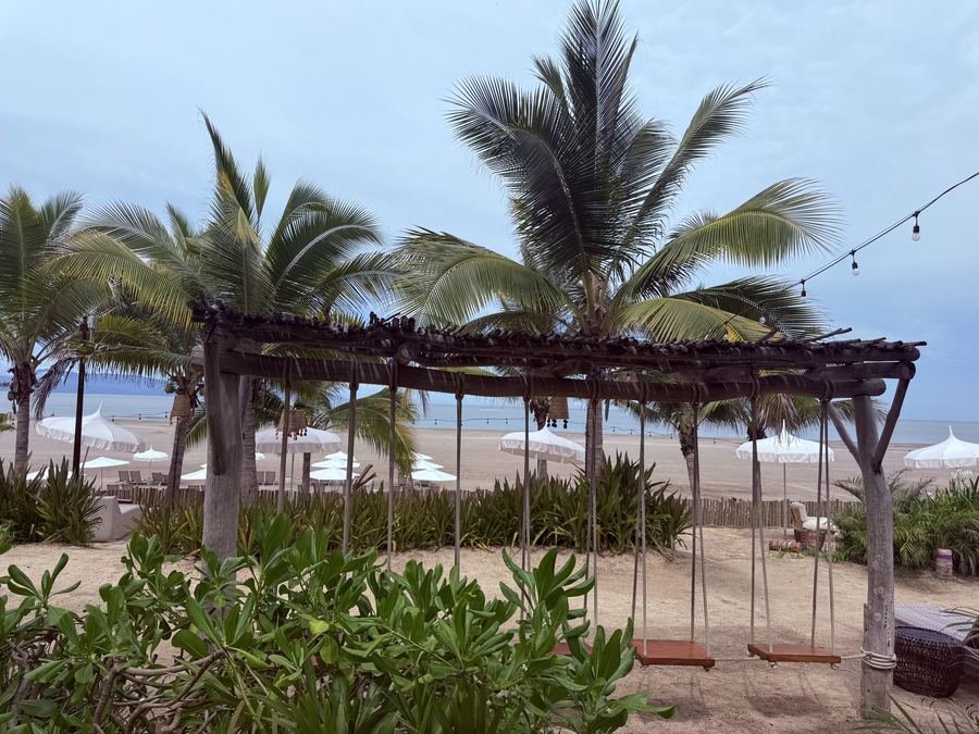 Tropical beach with palm trees