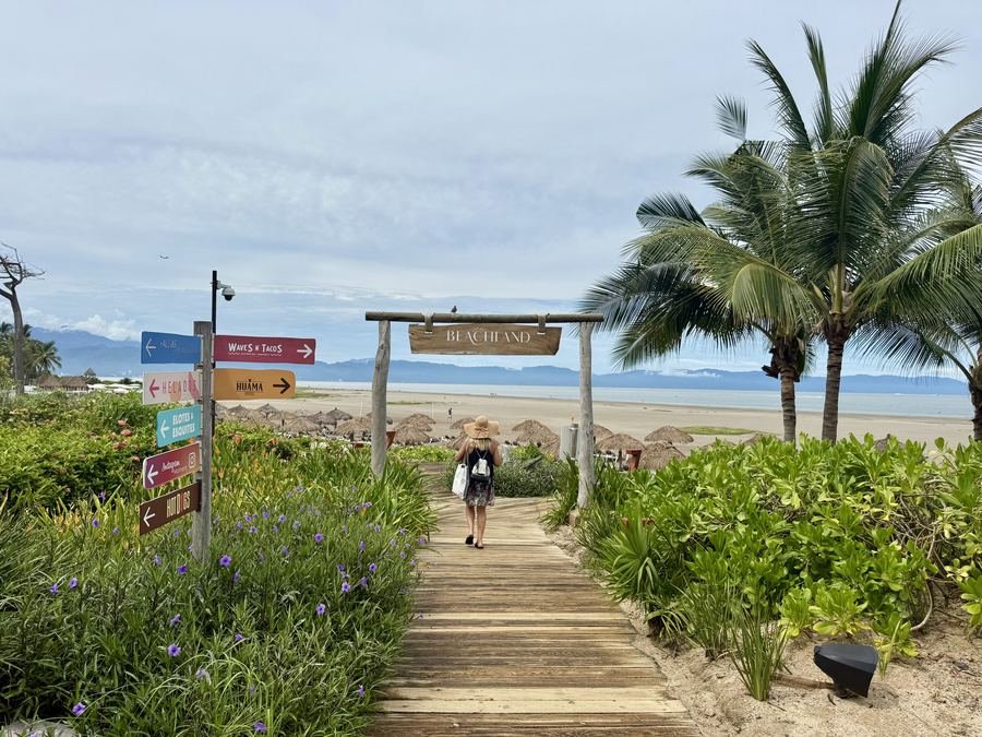 Beach walkway with palm trees